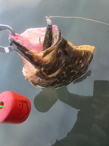 Great catch using light tackle drift fishing! Partly cloudy conditions made for an exciting day on the water.