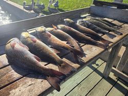 Two fishermen reeling in their catch at Port Aransas