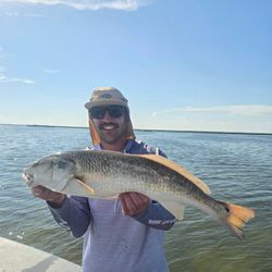 One redfish caught in TX