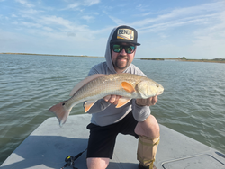 Nice redfish caught using light tackle drift fishing in Port Aransas today!