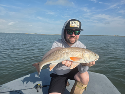 Nice redfish caught on light tackle drift fishing in Port Aransas!