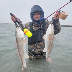 Two big Redfish caught while fishing in Port Aransas