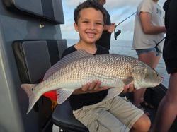 Redfish caught by angler in TX