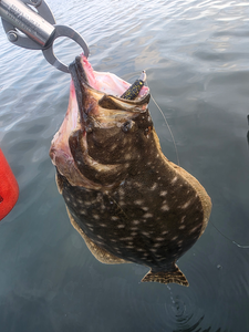 Nice southern flounder on light tackle drift fishing - perfect day on the water!