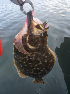 Nice summer flounder on light tackle drift fishing! Partly cloudy conditions made for an exciting adventure.