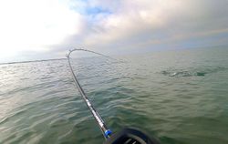 Best great fishing in TX