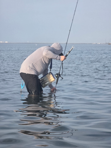 Perfect conditions for light tackle drift fishing in Port Aransas!