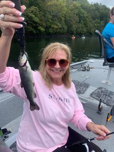 Trout Fishing in Lake Taneycomo