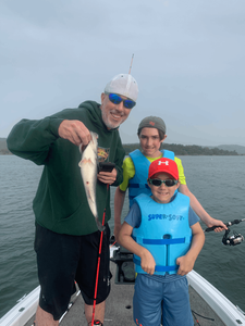 Bass fishing Table Rock Lake