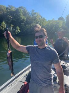 Quality Trout Fishing Trip in Lake Taneycomo