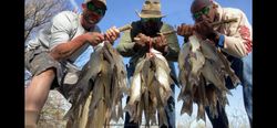 Lake Lavon white bass kind of day
