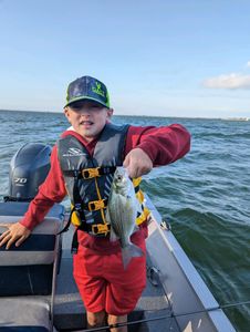 Morning bite on Lake Lavon