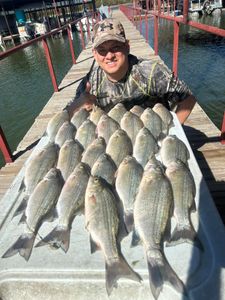 Early limits at Lake Ray Hubbard