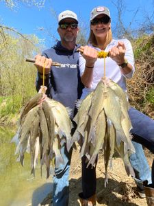 Creek fishing near Lake Lavon