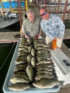 4 large white bass, wiper, and striped bass caught fishing in TX