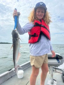 Channel Catfish caught fishing in TX