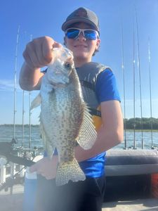 A crappie fish caught while fishing in Plano