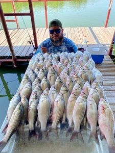 5 fishing in plano