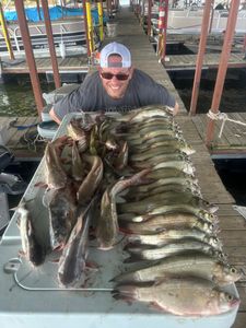 Image of a person fishing in Plano