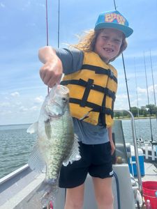 Spawning bass in DFW shallows