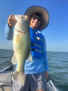 Largemouth bass caught in Plano
