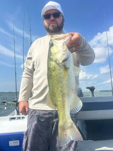 Largemouth bass caught in Plano