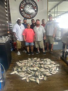 7 people fishing in Plano