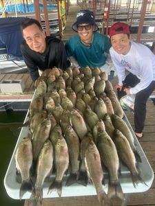 Three anglers fishing in TX