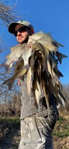 Angler with white bass catch in Plano