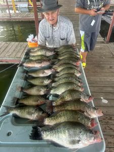 7 white crappie fish caught in TX