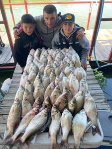 Wiper (hybrid striped bass) fishing at Plano