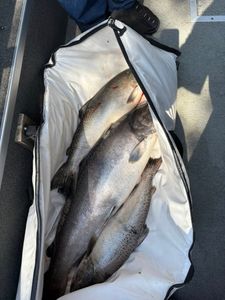 Two fishers with their catch at Granite Bay