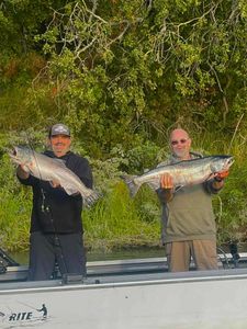 Two Chinook Salmon caught while fishing in CA
