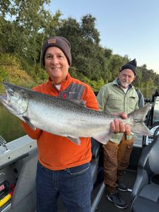 Chinook salmon fishing in CA