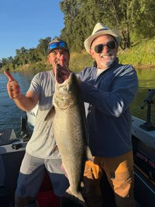 Chinook Salmon caught while fishing in Granite Bay