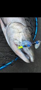 Fishing in Granite Bay