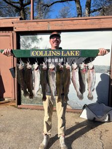 8 rainbow trout and coho salmon caught at Granite Bay