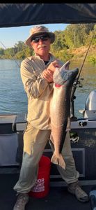 Rainbow trout caught while fishing in Granite Bay