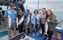 Seven bluefish caught in Sheboygan while fishing