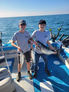 Three Chinook Salmon, Bluefish, and Pink Salmon fish caught in WI