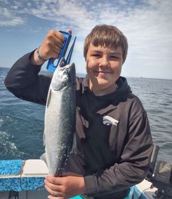 Coho salmon caught while fishing in Sheboygan