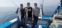 3 rainbow trout caught while fishing in WI