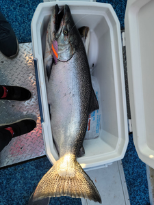 A fishing trip in Sheboygan