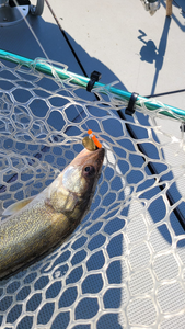 One fishing adventure in OH
