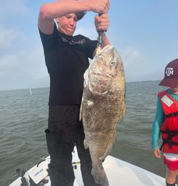 Galveston fishing tips for Black Drum