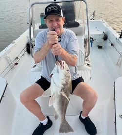 Black Drum fishing adventures in Galveston.