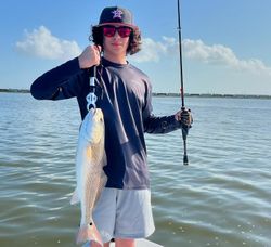 Catch big re drum Galveston.