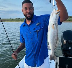 Galveston fishing: Trout bites.