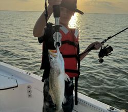 Galveston fishing guides.