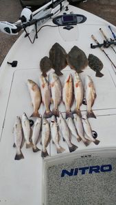Trout Fishing in Texas